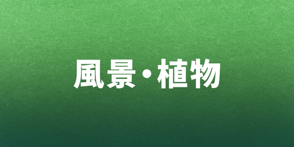 景色・植物