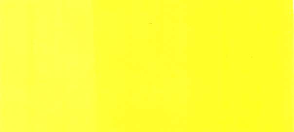 Y06